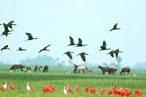 Venezuela cronica de navegante
