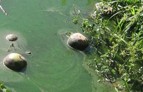 Imagen publicada por sitio digital oficialista en Guantánamo