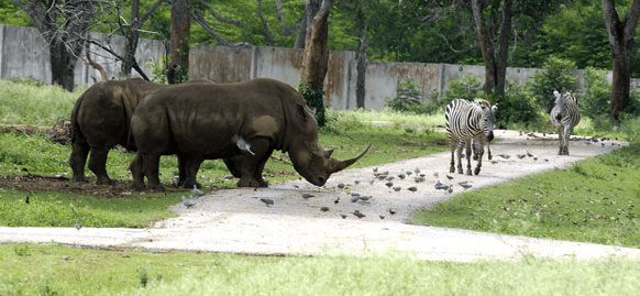 FireShot Screen Capture #158 - 'Parque Zoológico Nacional - General - Fotografía - Multimedia - Juventud Rebelde - Diario de la juventud cubana' - www_juventudrebelde_cu_multimedia_fotografia_generales_parque-zoo