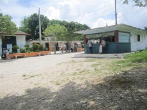 Foto Oscar Luis Milián