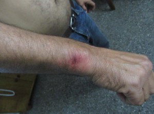 FormatFactoryIMG_4041