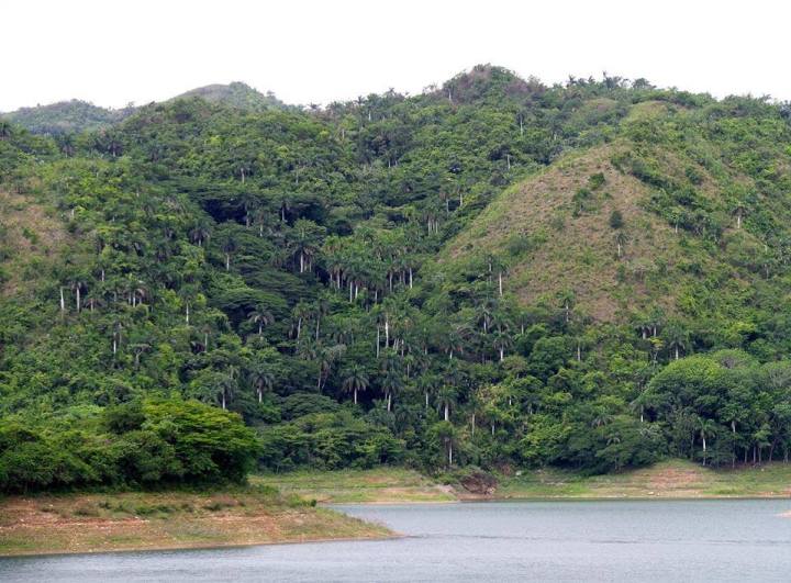 Arroyo  El arroyo de la Sierra Tomado de Facebook