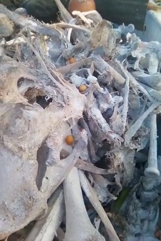 falta-de-sensibilidad-humana-11