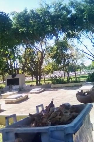 falta-de-sensibilidad-humana-9