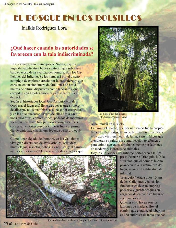 12002615_900717659976373_6849487693082137504_o