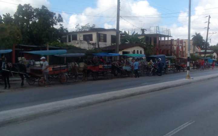 55666867_400045467481647_7372675173083774976_n - Copy