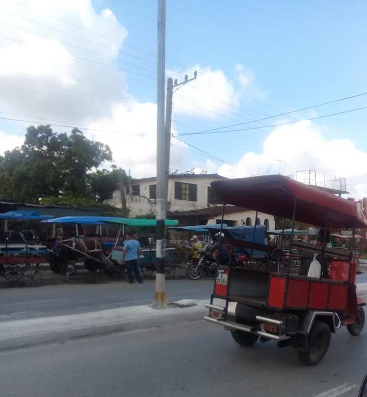 56285188_400045434148317_2094967171611361280_n - Copy