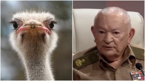 Guillermo García Frías y el avestruz