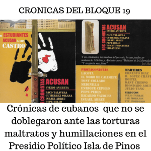 CRONICAS DEL BLOQUE 19 (1)