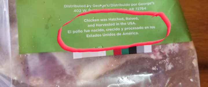 88357408_1857203231079731_3006710182190252032_o