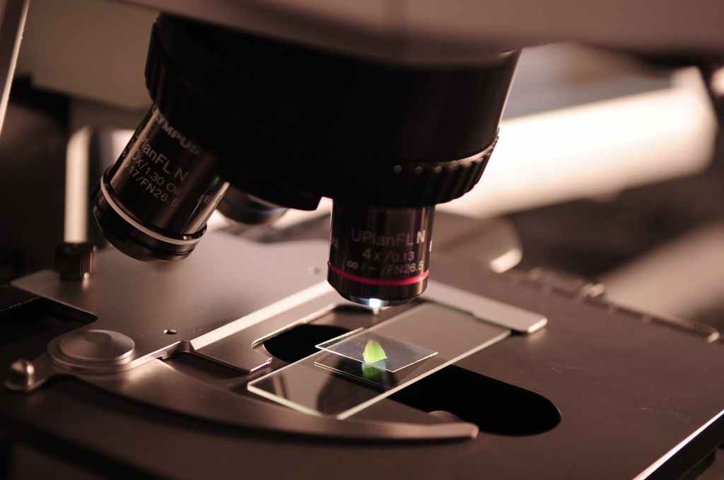 El fraude científico que tomó al mundo como&nbsp;rehén