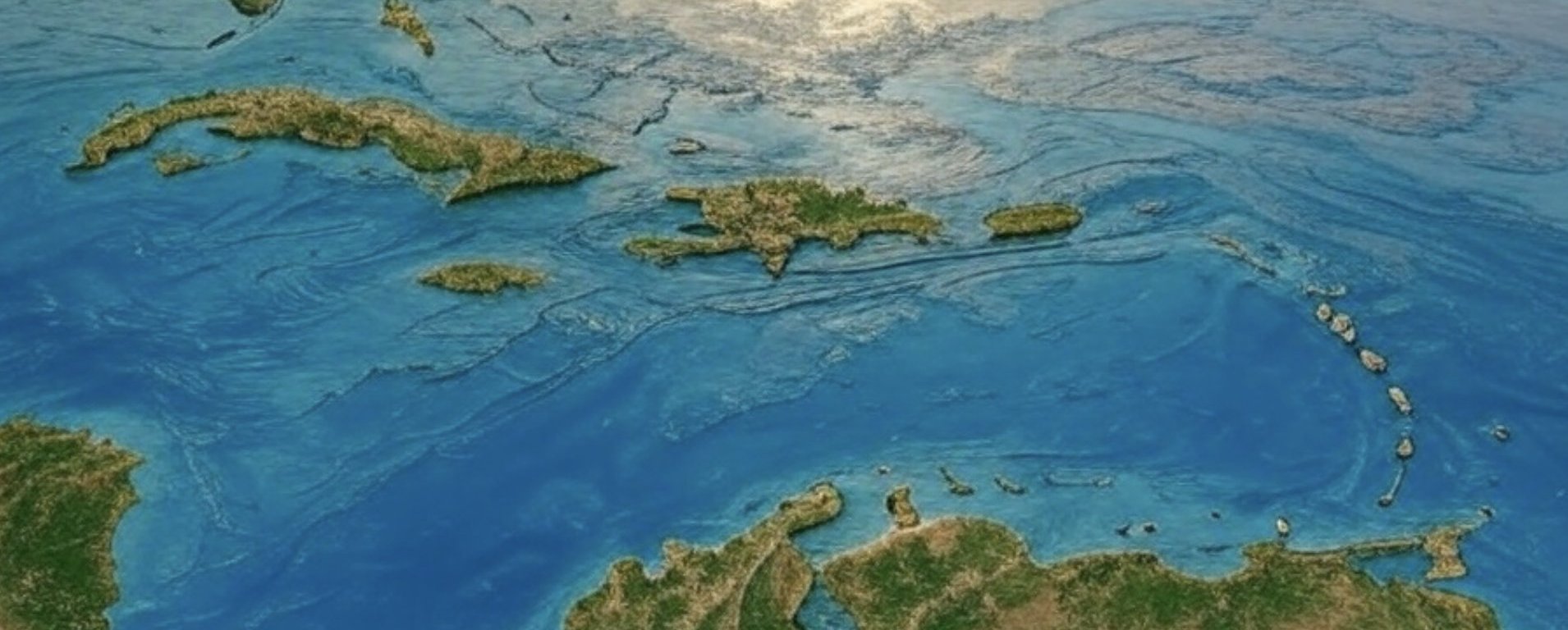 cronica de navegante