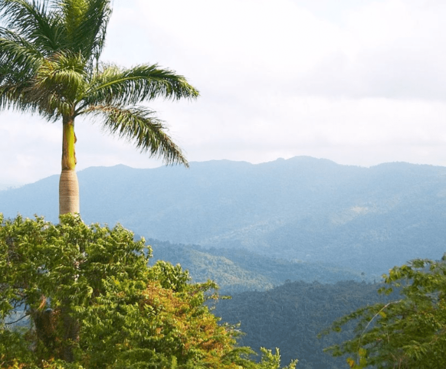 cronica de navegante