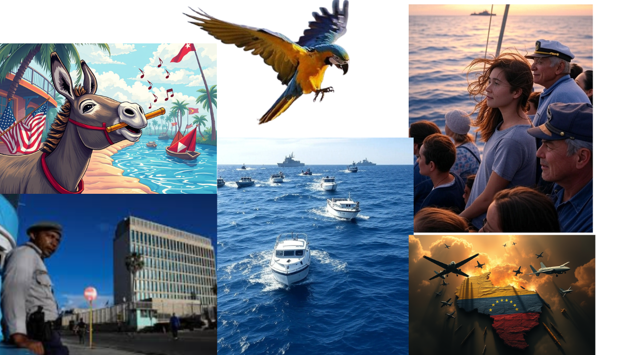 cronica de navegante